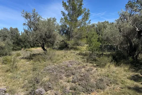 Tomt i Rossell, Castellon, Rossell - € 35 000 | Ref: Canguro - foto 11